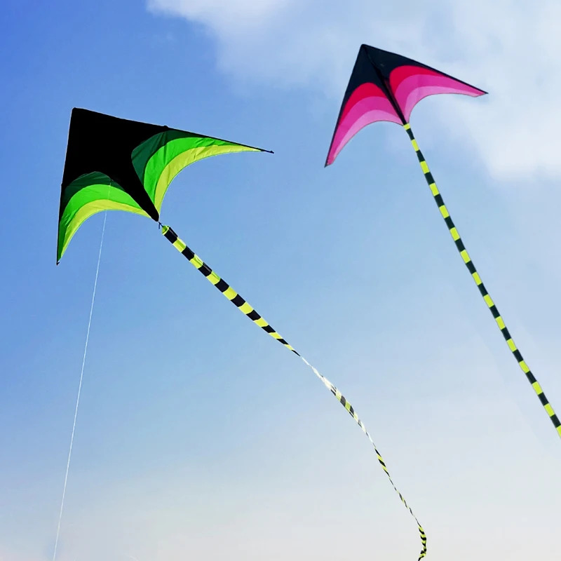 Adults Easy to Fly Large Huge  - Kite Easy Fly Kids 评论和价格