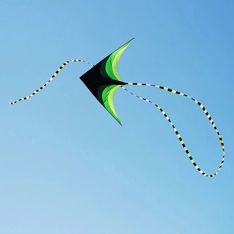 Adults Easy to Fly Large Huge  - Kite Easy Fly Kids 评论和价格