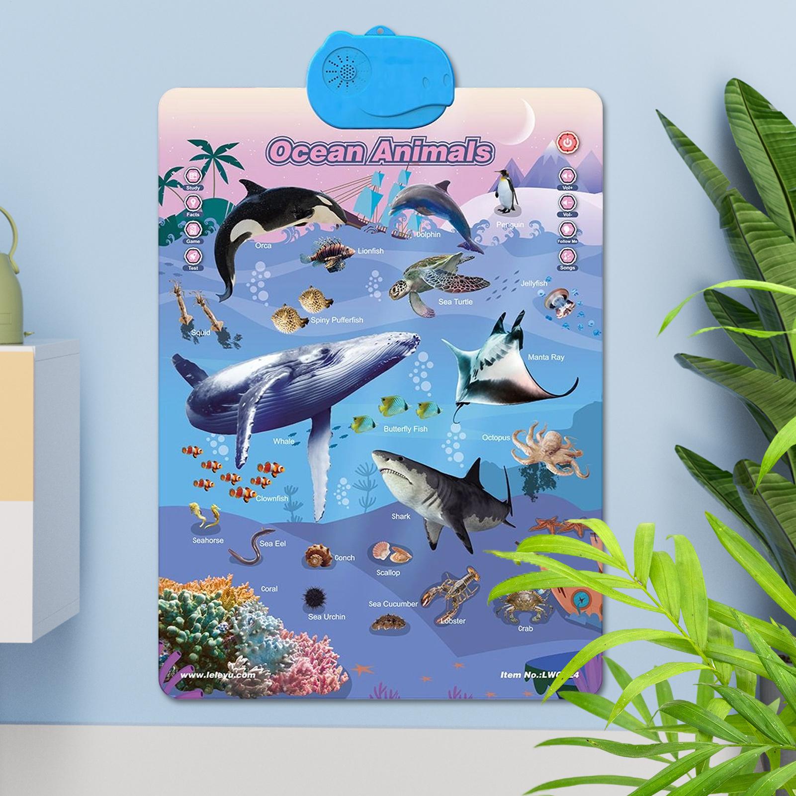 Kids Learning Posters Interact - Kids Outdoor Tools 评论和价格