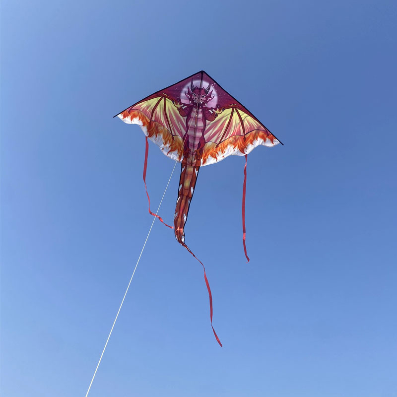 Large Dragon Kite For Kids & A - Kite Easy Fly Kids 评论和价格