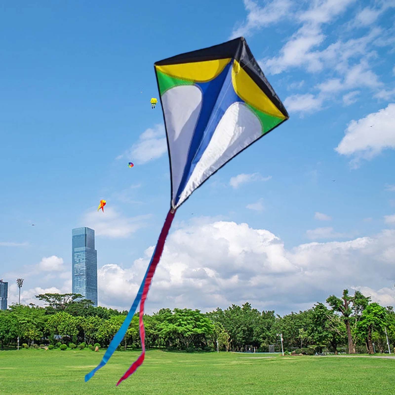 Diamond Shaped Kite with Long  - Kite Easy Fly Kids 评论和价格