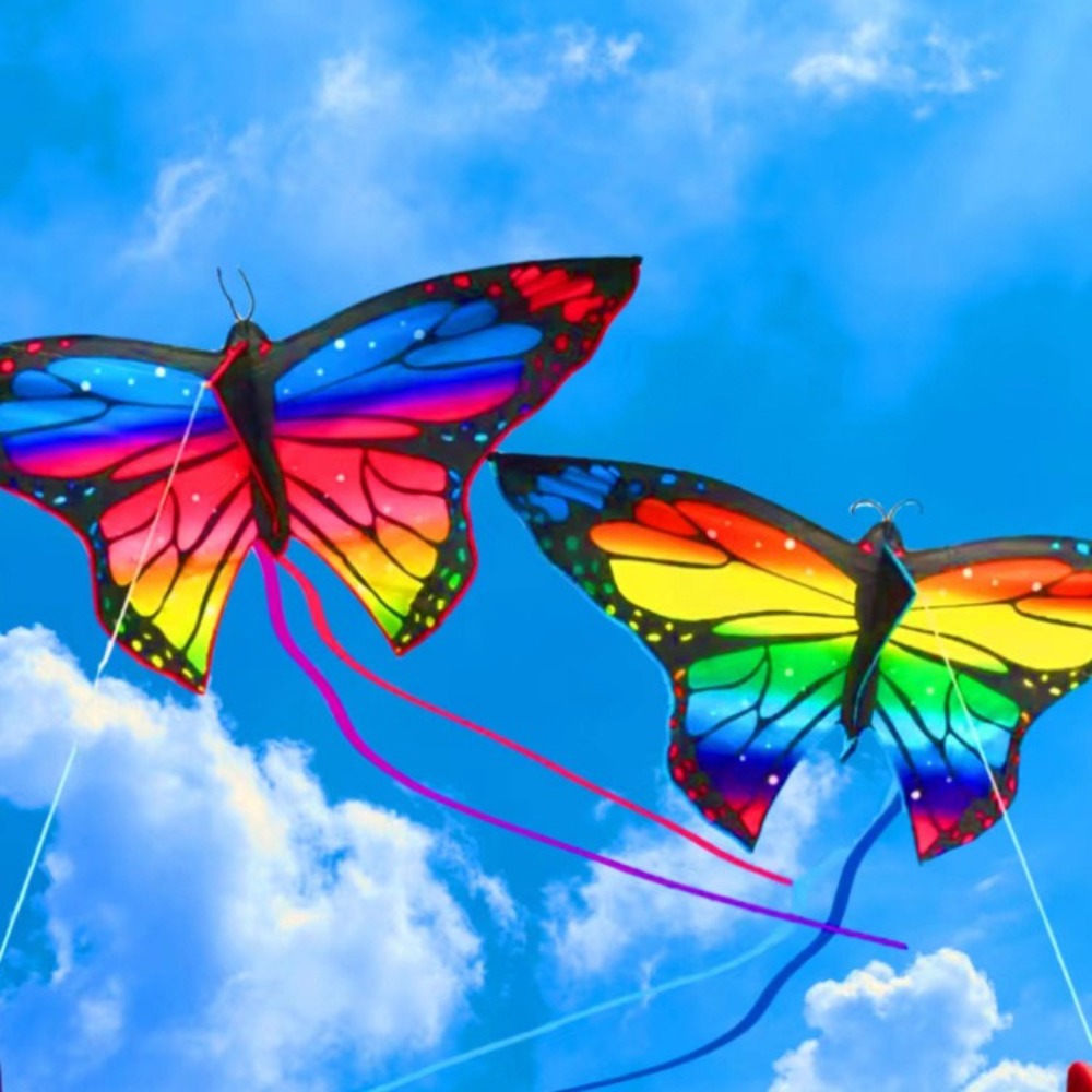 Easy to Fly Colorful Butterfly - Kite Easy Fly Kids 评论和价格