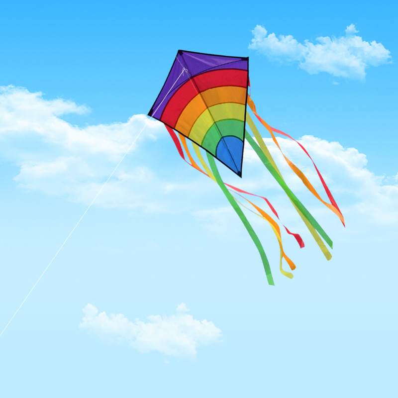 Single Line Kite with Long Tai - Kite Easy Fly Kids 评论和价格