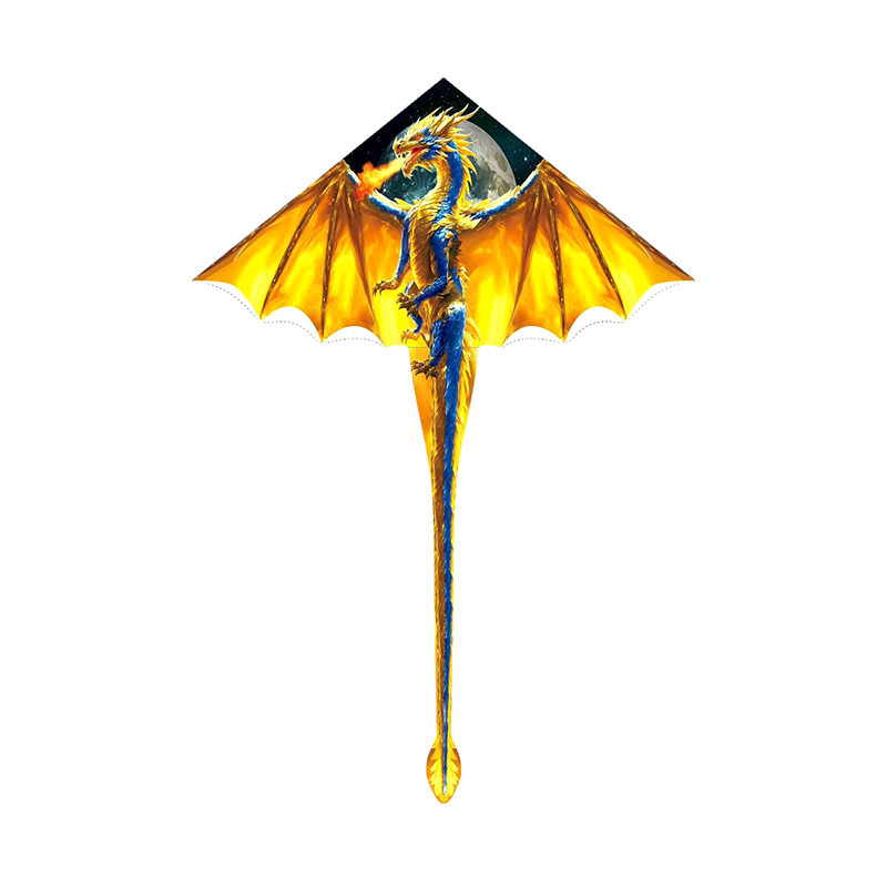 Large Dragon Kite For Kids & A - Kite Easy Fly Kids 评论和价格