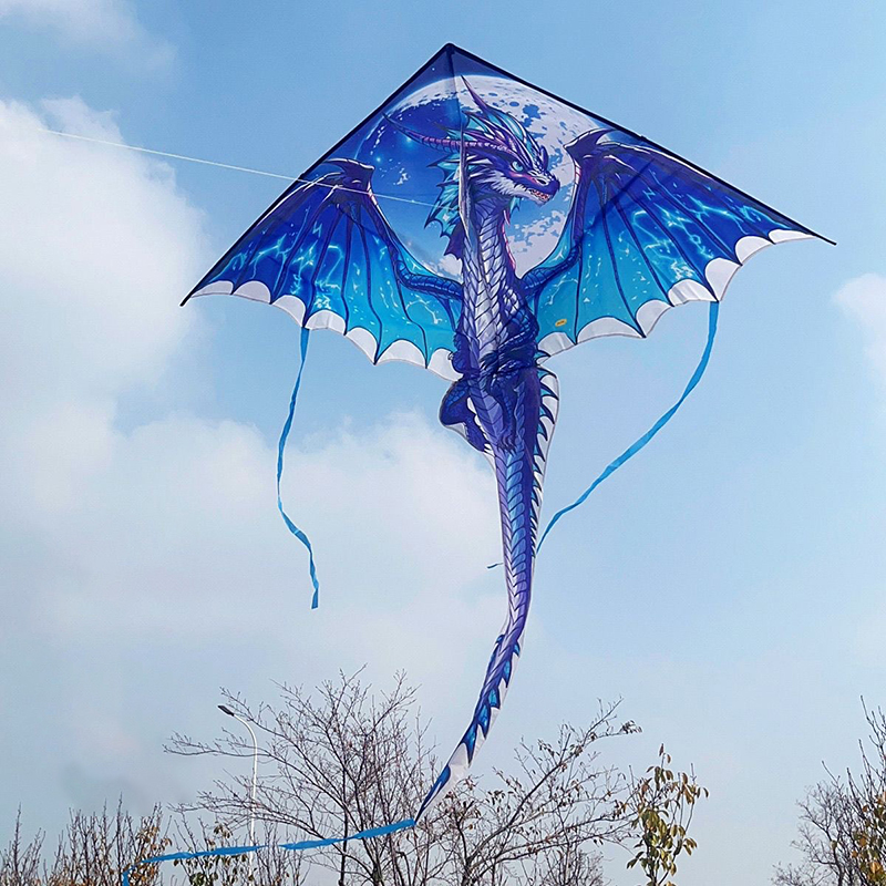 Large Dragon Kite For Kids & A - Kite Easy Fly Kids 评论和价格