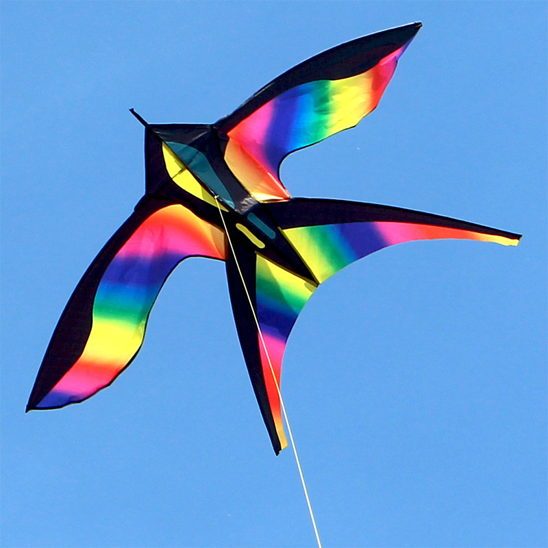 1.7m Easy to Fly Colorful Rain - Kite Easy Fly Kids 评论和价格