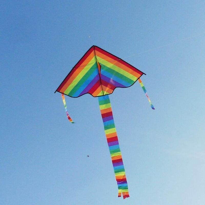 Easy Flying ! Large Colorful R - Kite Easy Fly Kids 评论和价格