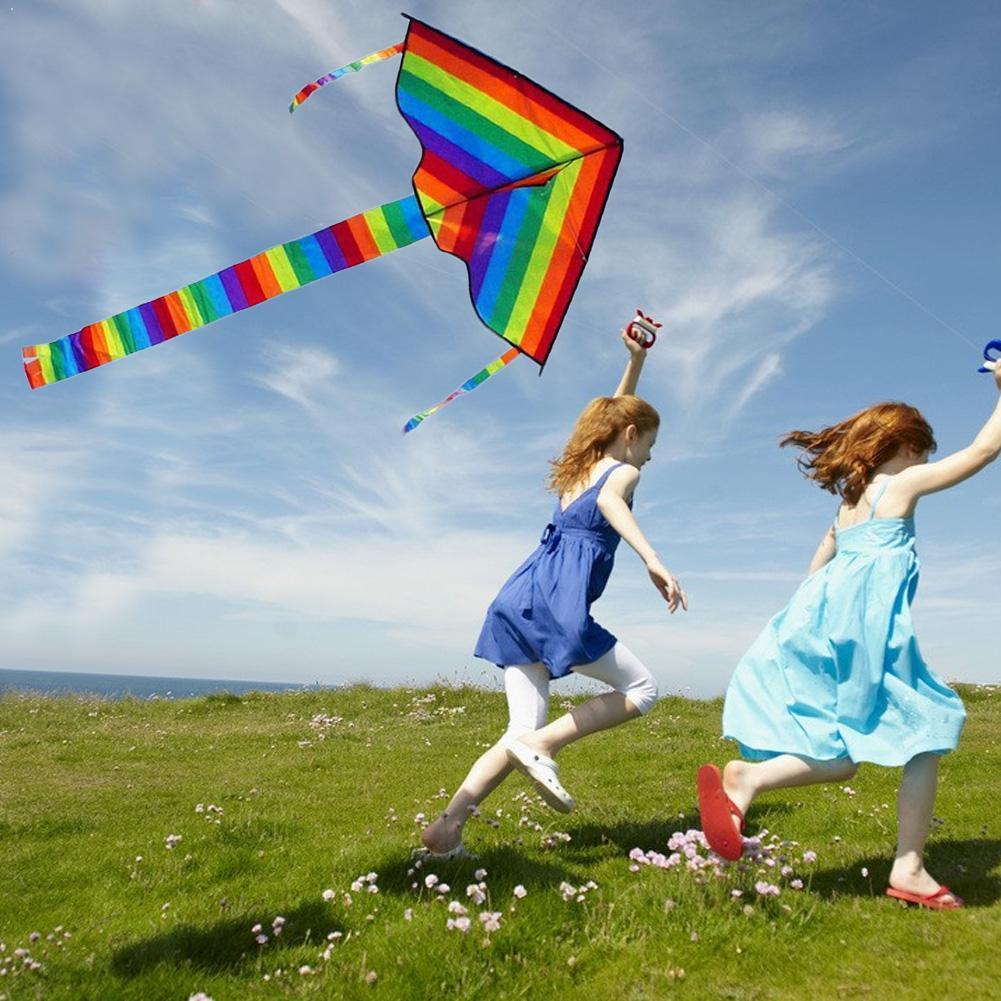 Easy Flying ! Large Colorful R - Kite Easy Fly Kids 评论和价格