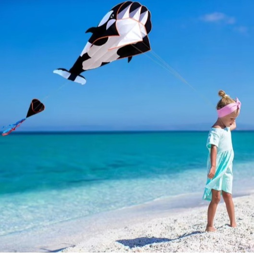 2.2m Large Whale/Dolphin Kite  - Kite Easy Fly Kids 评论和价格