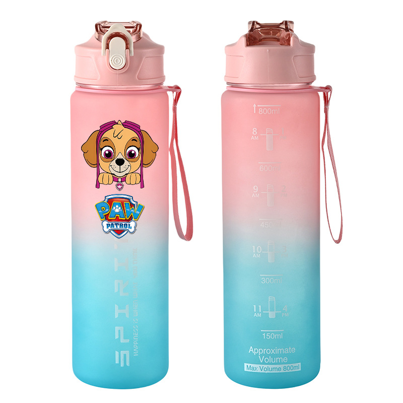 800ml PAW Patrol Sports Water  - Kids Outdoor Movies 评论和价格