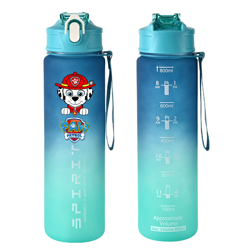 800ml PAW Patrol Sports Water  - Kids Outdoor Movies 评论和价格