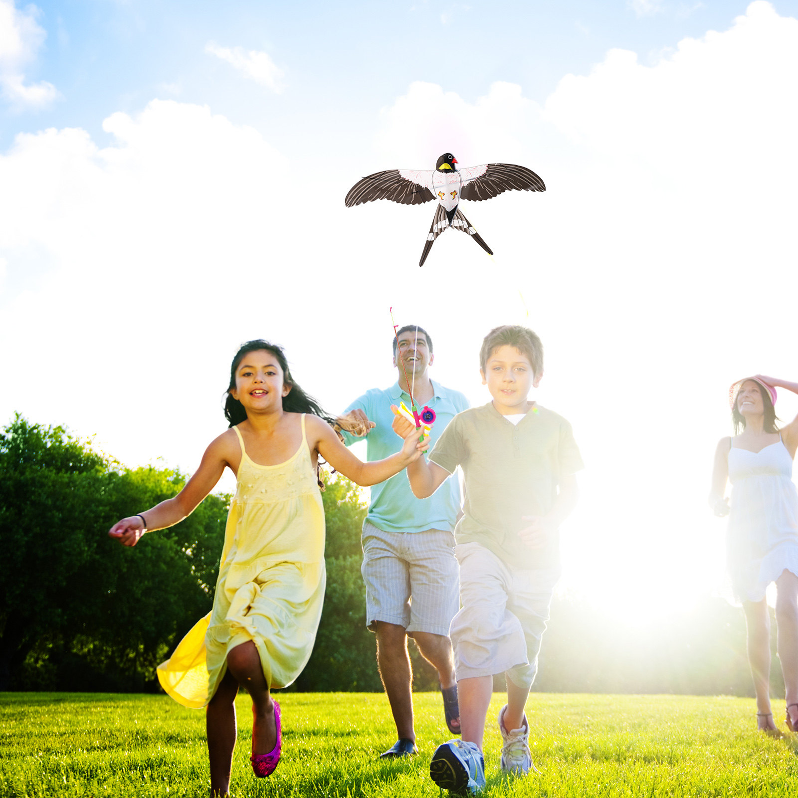 Easy to Fly Bird Kite Kite for - Kite Easy Fly Kids 评论和价格