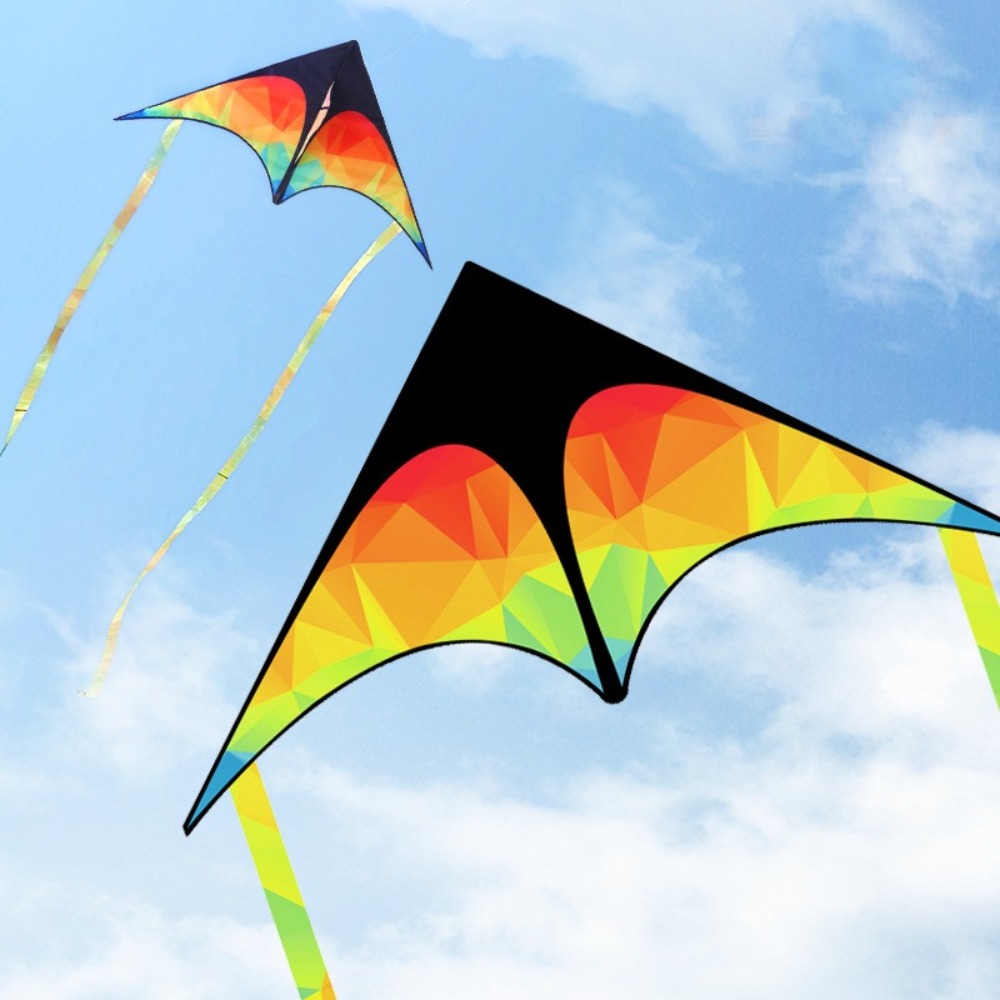 Double-tailed Large Delta Kite - Kite Easy Fly Kids 评论和价格
