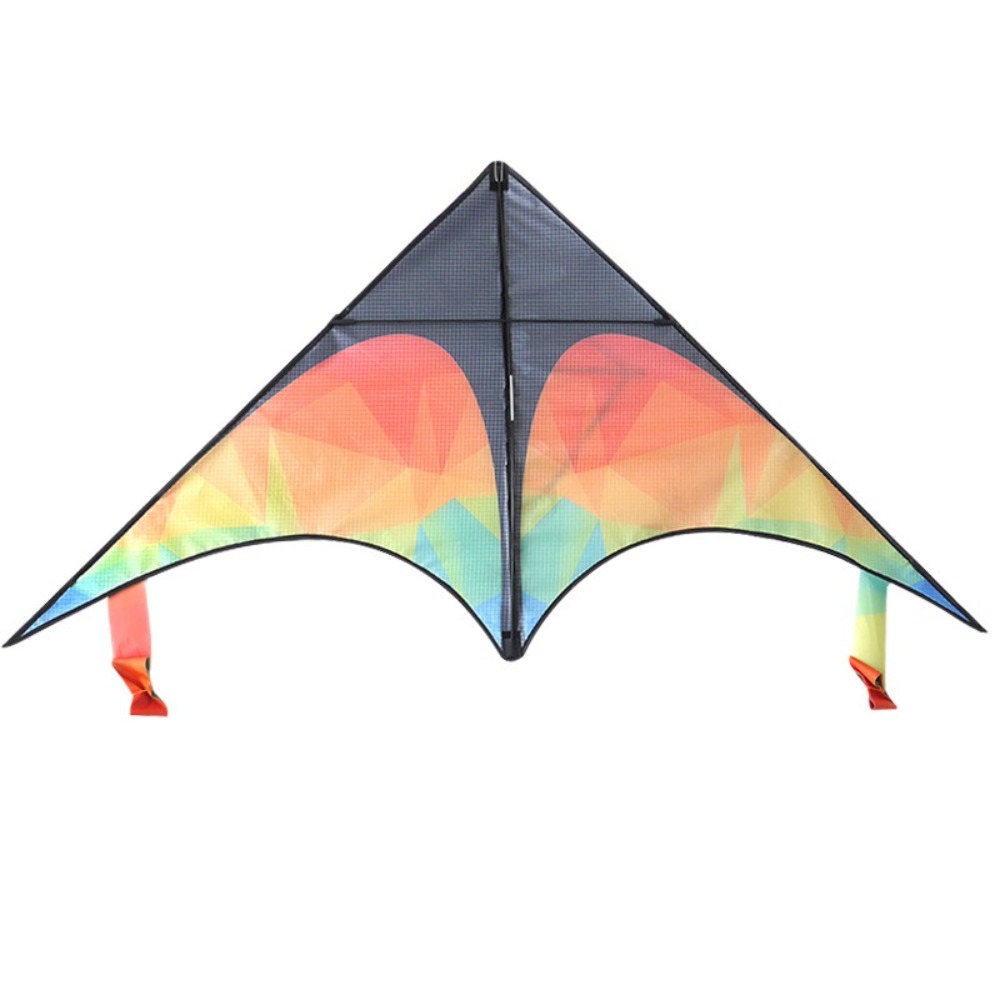 Double-tailed Large Delta Kite - Kite Easy Fly Kids 评论和价格