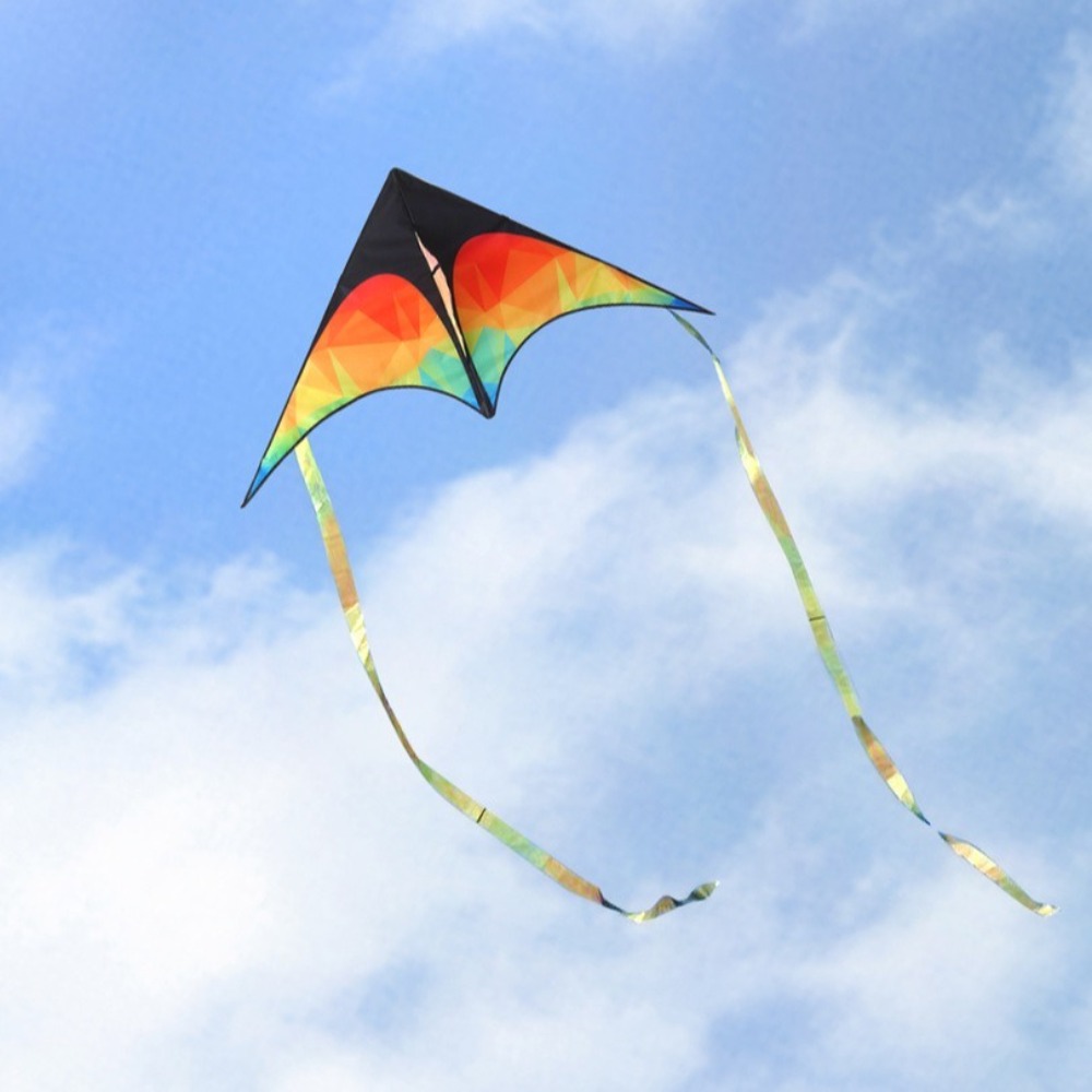 Double-tailed Large Delta Kite - Kite Easy Fly Kids 评论和价格