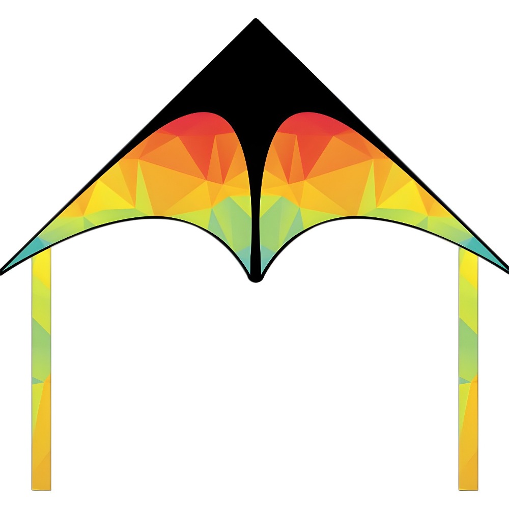 Double-tailed Large Delta Kite - Kite Easy Fly Kids 评论和价格
