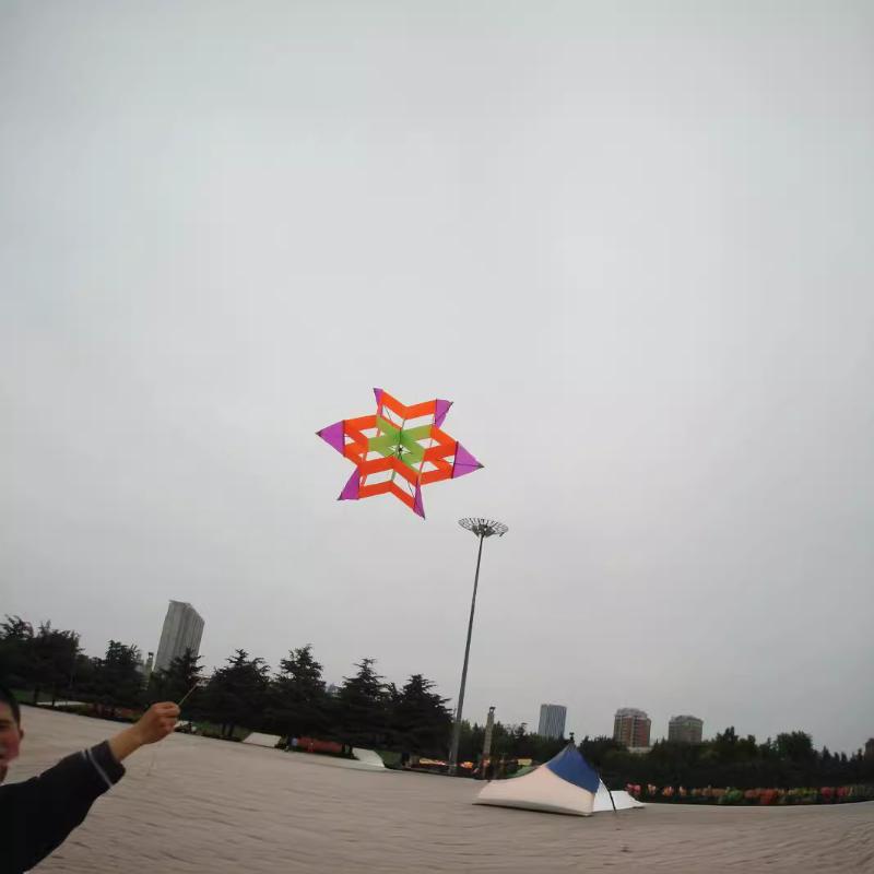 Travel-friendly 3D Plum Blosso - Kite Easy Fly Kids 评论和价格