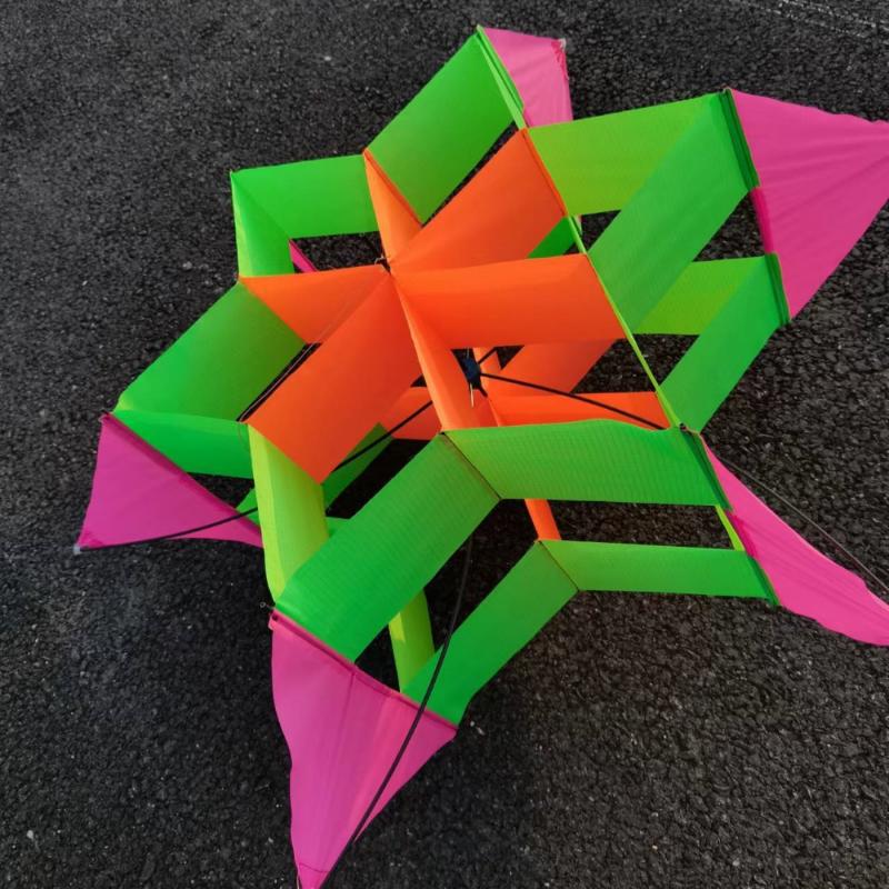 Travel-friendly 3D Plum Blosso - Kite Easy Fly Kids 评论和价格