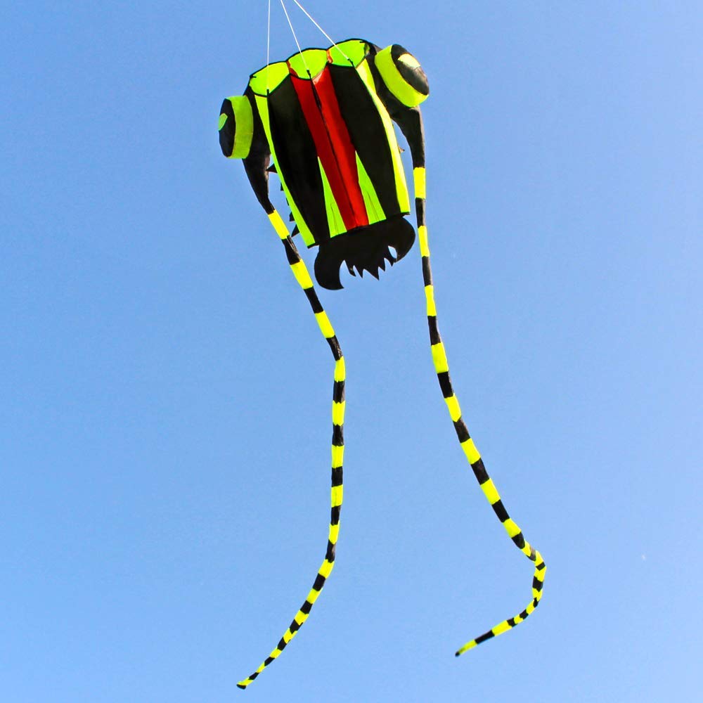 KITE-Large Easy Flyer Soft Kit - Kite Easy Fly Kids 评论和价格