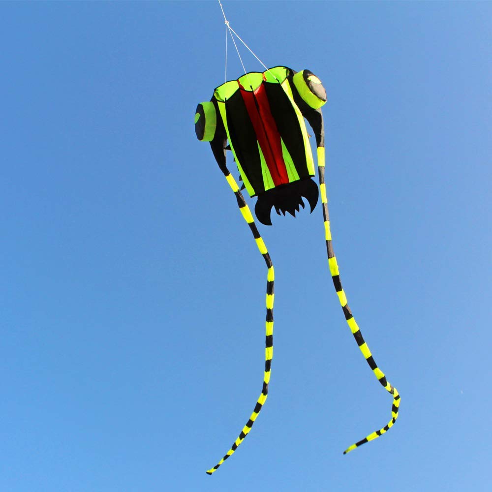 KITE-Large Easy Flyer Soft Kit - Kite Easy Fly Kids 评论和价格