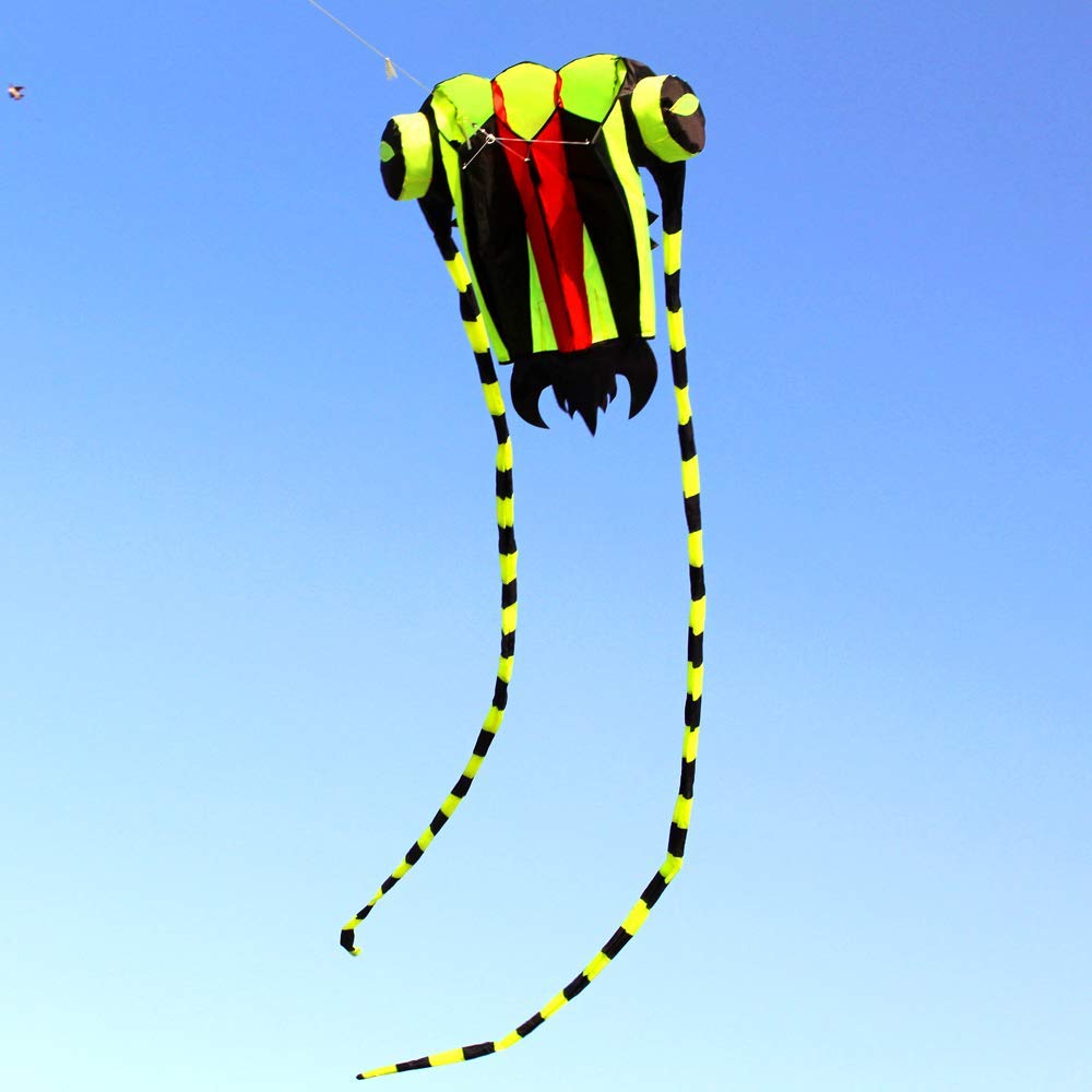 KITE-Large Easy Flyer Soft Kit - Kite Easy Fly Kids 评论和价格